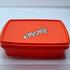 Tupperware Divided Stow-N-Go Craft Box